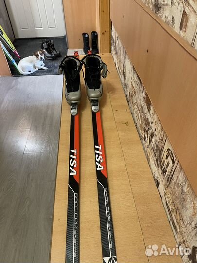 Беговые лыжи Tisa