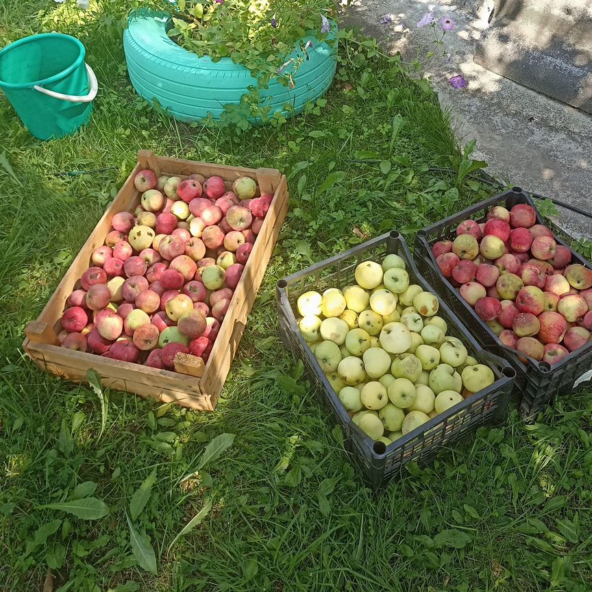 Квартира 2-комн. 47.7 м² в Комсомольск — фото 4