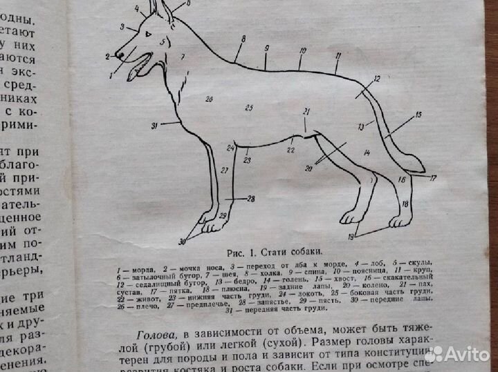 Книга по собаководству 59 гг