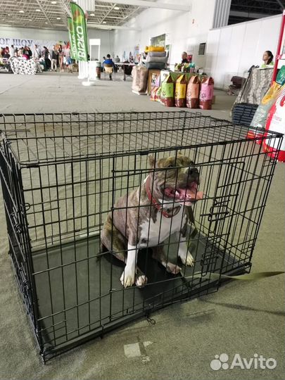 Клетка для собак