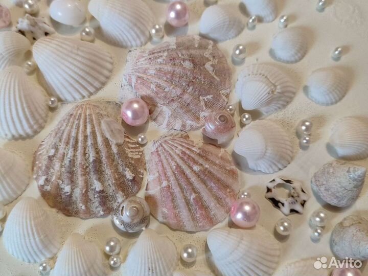 Белая картина с ракушками