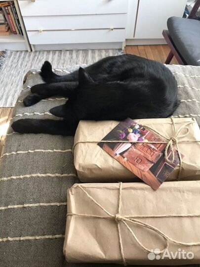 «Старинные кирпичи с клеймами», открытки