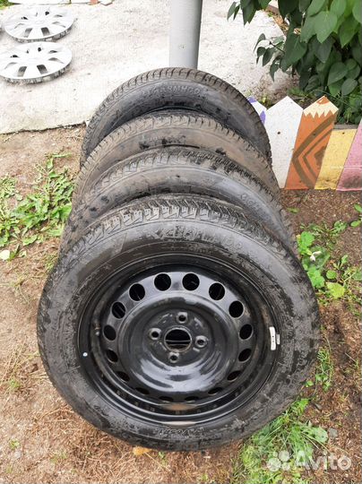 Charmhoo Winter Eco 175/65 R15