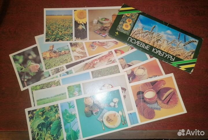 Открытки СССР