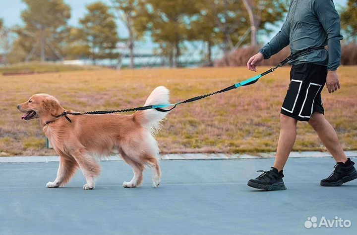 Поводок Свободные Руки для бега с собакой