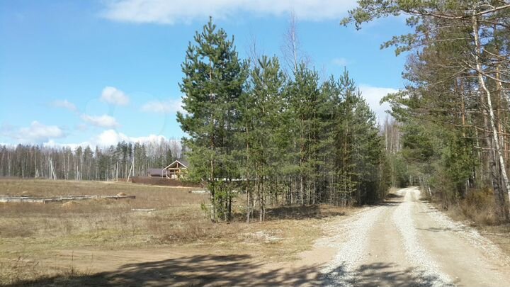 Участок 10 сот. (СНТ, ДНП)