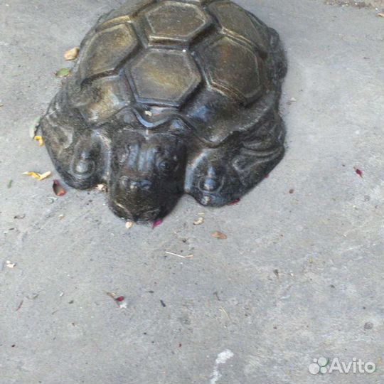 Черепаха