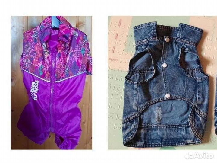 Одежда для собак