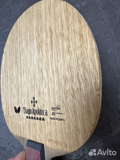 Butterfly tiago apolonia zlc