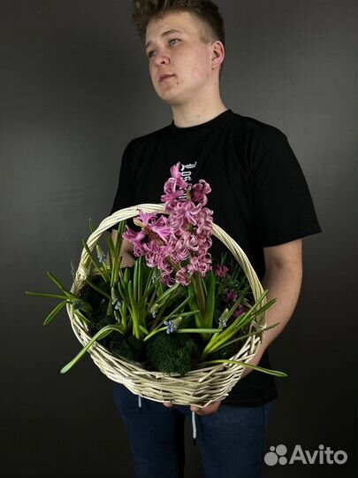 Растения живые