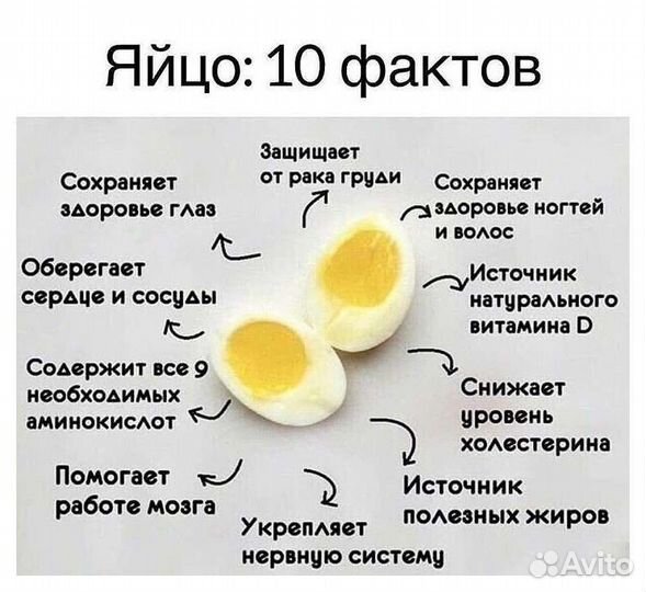 Домашнии куриные яйца