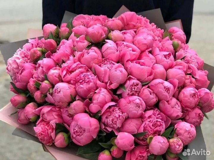 Букет из 61 пиона