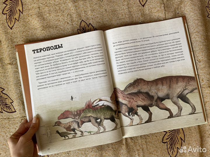 Книга Меловой период. Динозавры