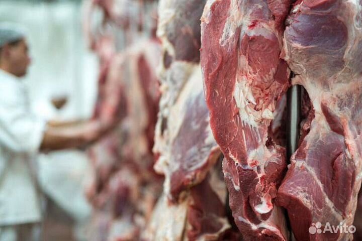 Мясо свинина говядина