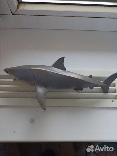Акула игрушка серая
