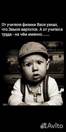 Трезвый водитель 24