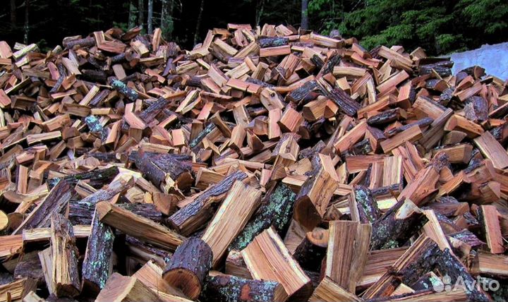 Дрова с Зеленогорска