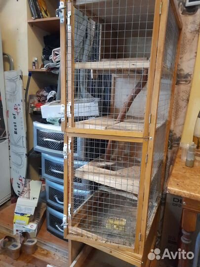 Клетка для шиншиллы
