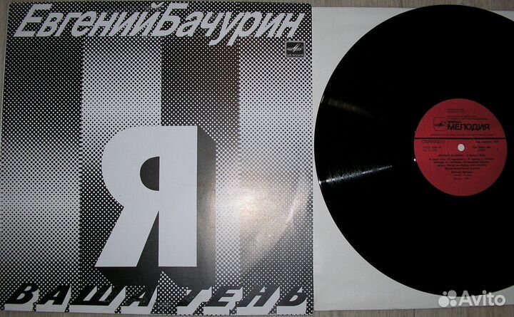 Я Ваша тень. Бачурин Евгений