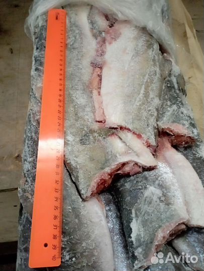 Горбуша свежемороженая