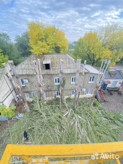 Спил деревьев, расчистка участков, вывоз