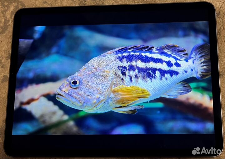 Планшет Apple iPad Pro 11