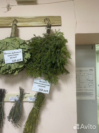 Веники из пихты и можжевельника для бани