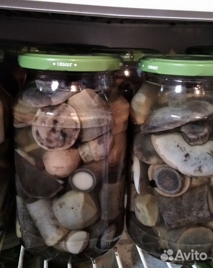 Картофель домашний, сорт Спиридон