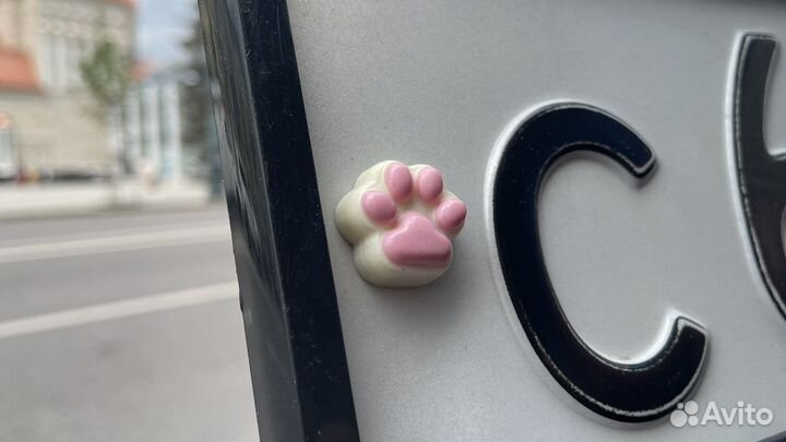 Болты крепления номерного знака