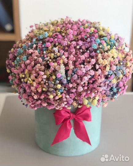 Радужная Гипсофила в Коробке