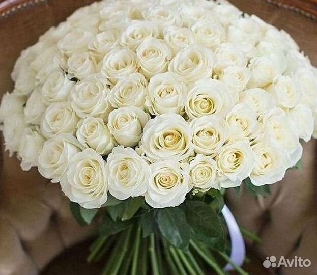 Розы Цветы Букеты 25 151 201 101 301 501 опт