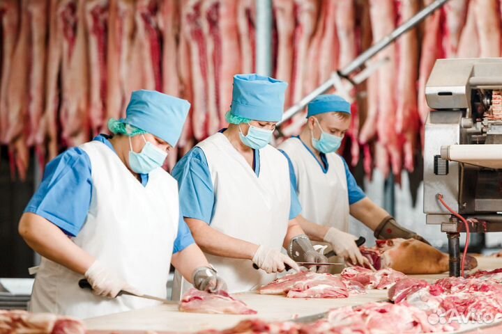 Разнорабочие на мясокомбинат,вахта