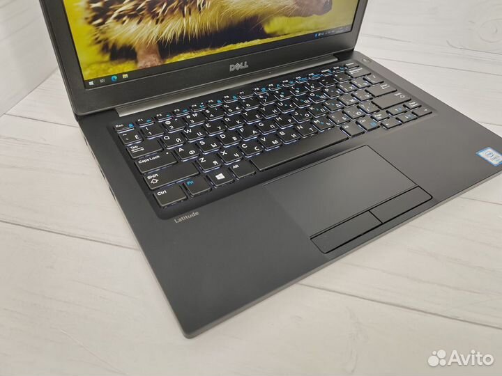 Dell Latitude 7280, i5-6300U, 8gb