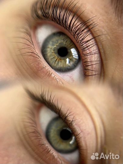 Ламимейкер и бровист