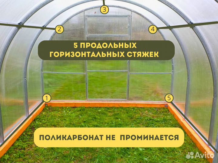 Теплица из поликарбоната от производителя