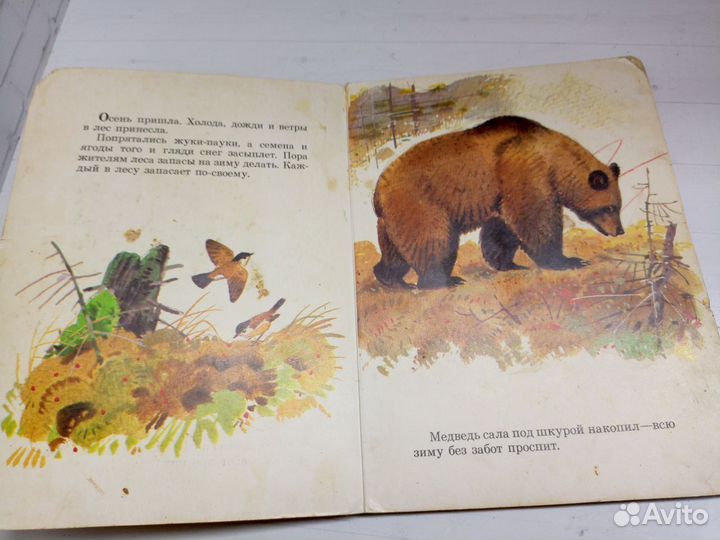 Синичкина кладовая Сладков Н. 1988 год