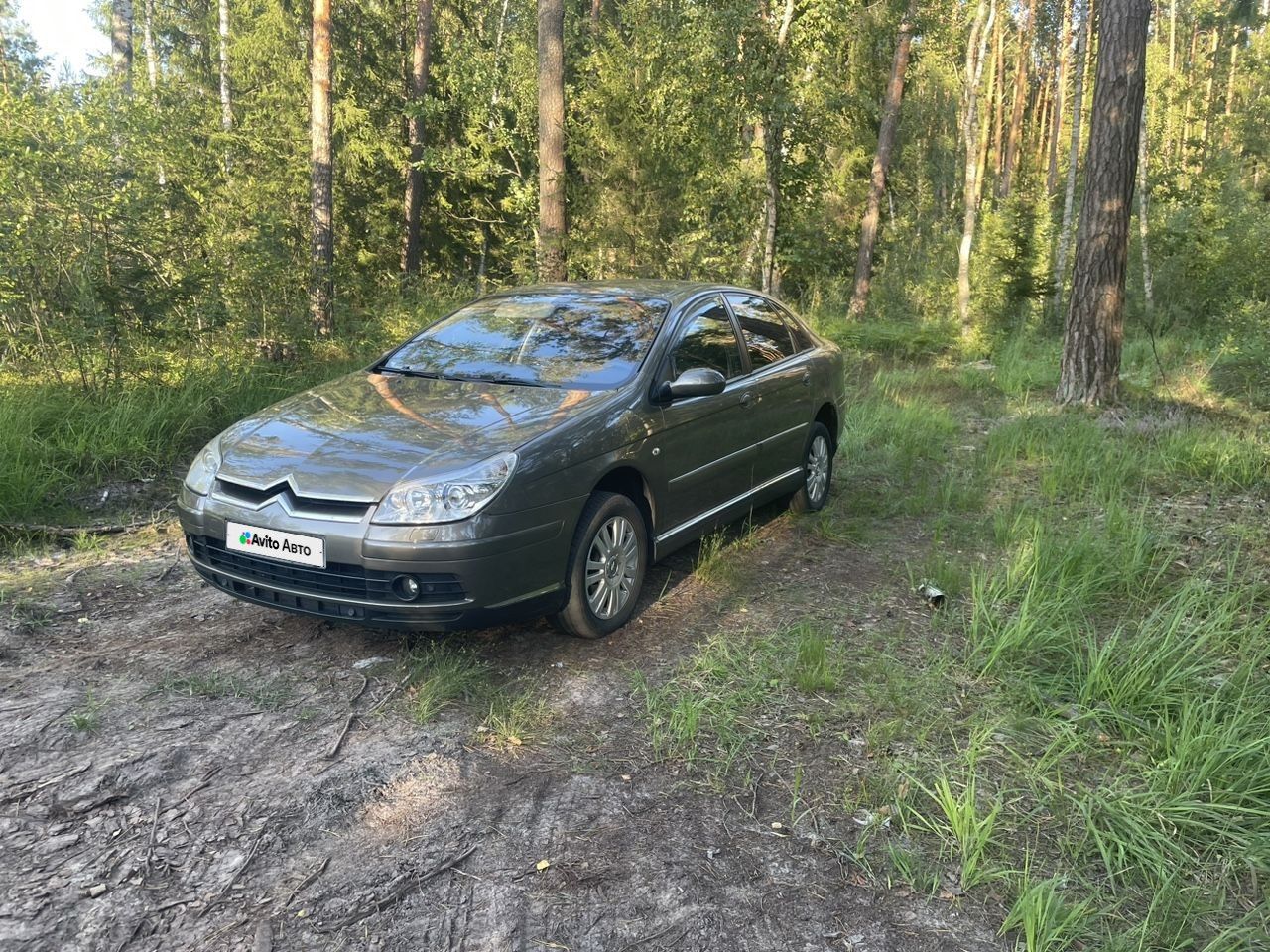 Citroen C5: фото владельца