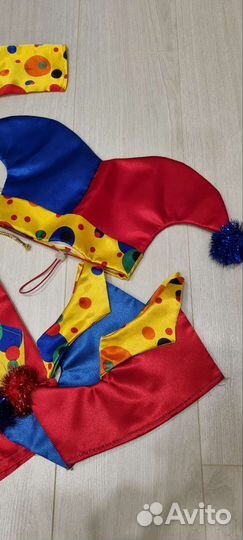 Костюм петрушки