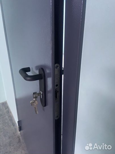 Дверь металлическая