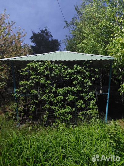 Беседка с мангалом в аренду