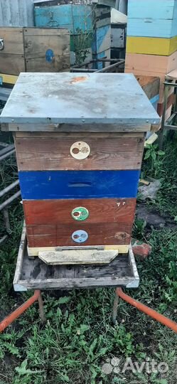 Продам ульи для пчел