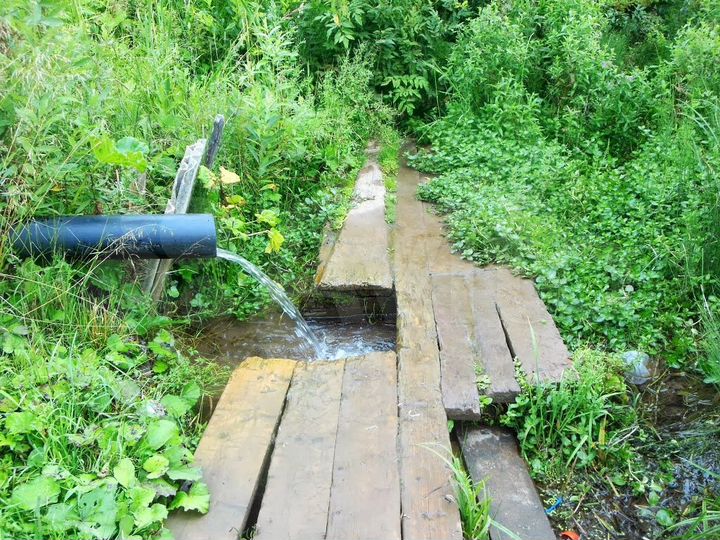 Участок 10 сот. (СНТ, ДНП)