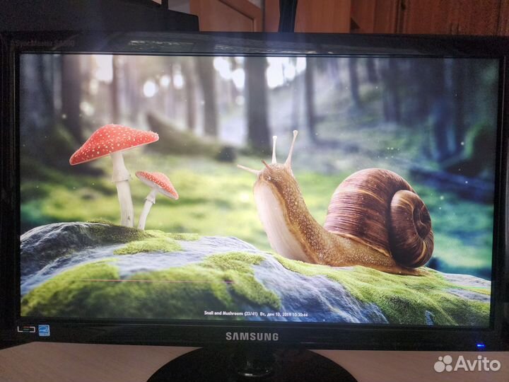 Монитор Samsung S19A300N