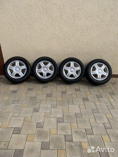 Торусы r14