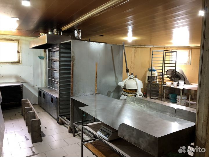 Сдаю в аренду