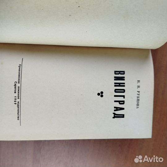 В. Рубцова. Виноград. 1969г
