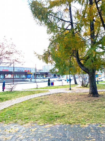 3-к. квартира, 59 м², 2/5 эт.