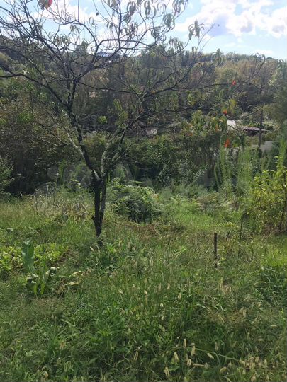 Участок 7 сот. (СНТ, ДНП)