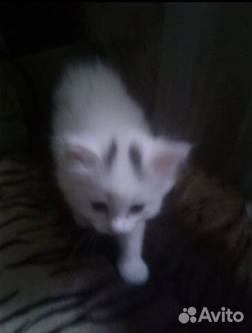 Отдам в хорошие руки