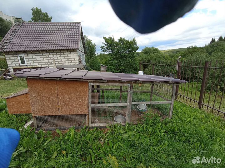 Клетка для кур